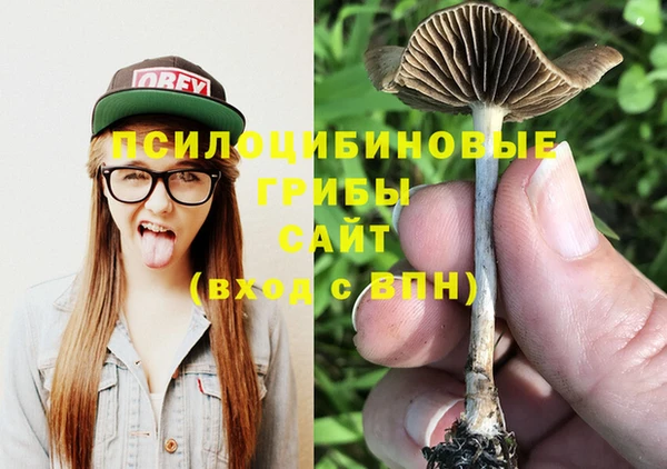метадон Михайлов