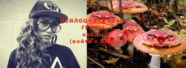 тгк Михайловск