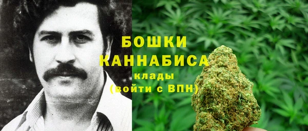 метадон Михайлов